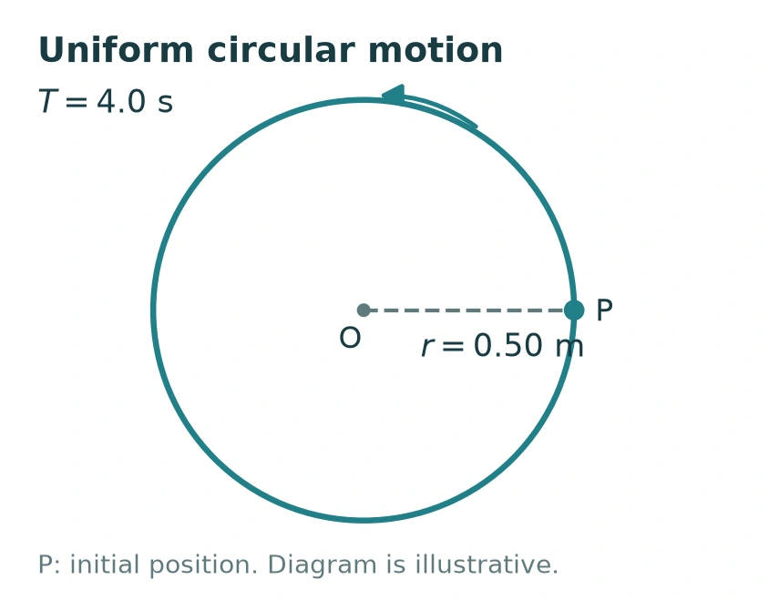 Uniform circular motion: radius 0.50 m, period 4.0 s, initial point P.